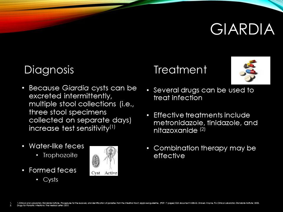 Giardiasis Diagnosis And Treatment Bruin Blog